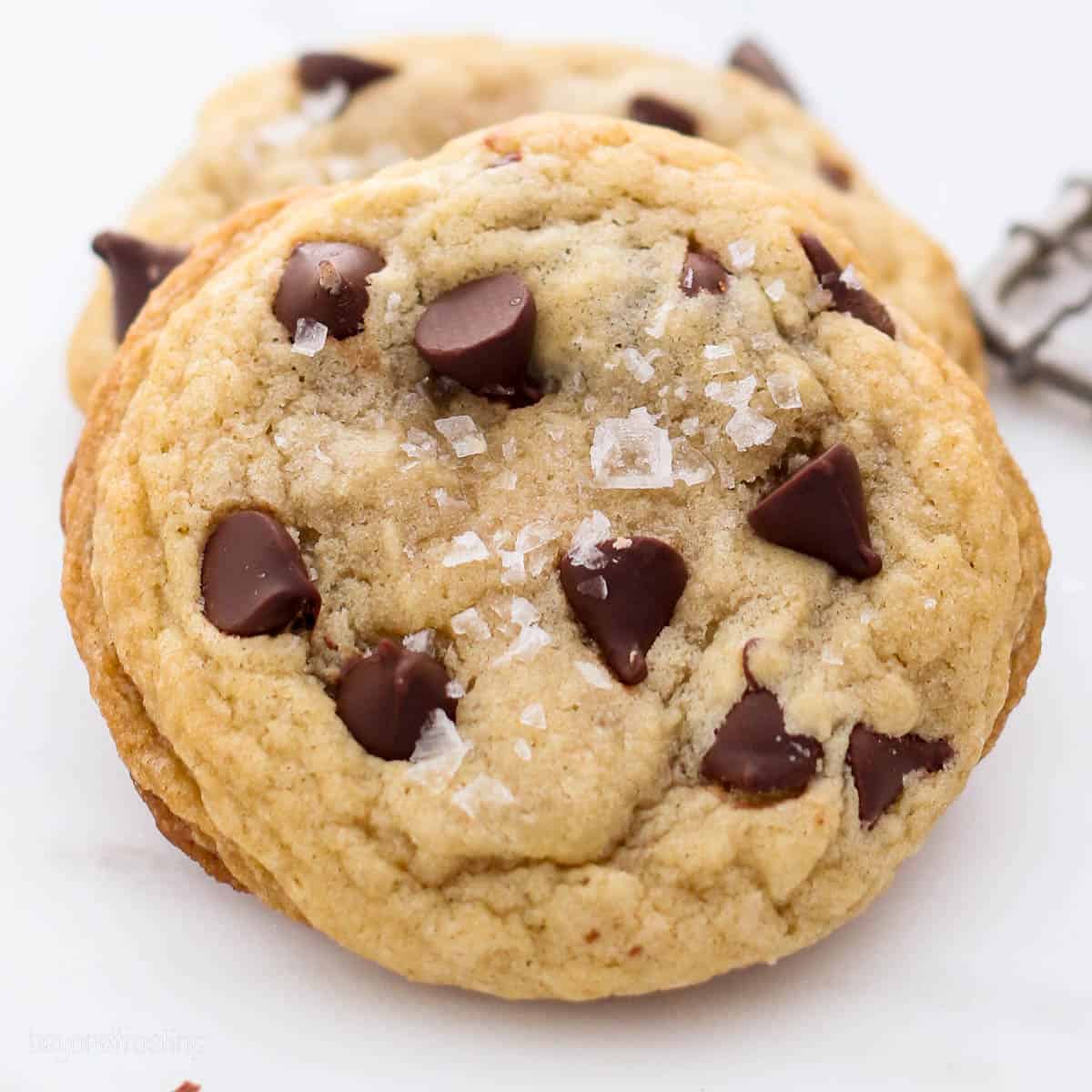 Chocolate Chip Dream
